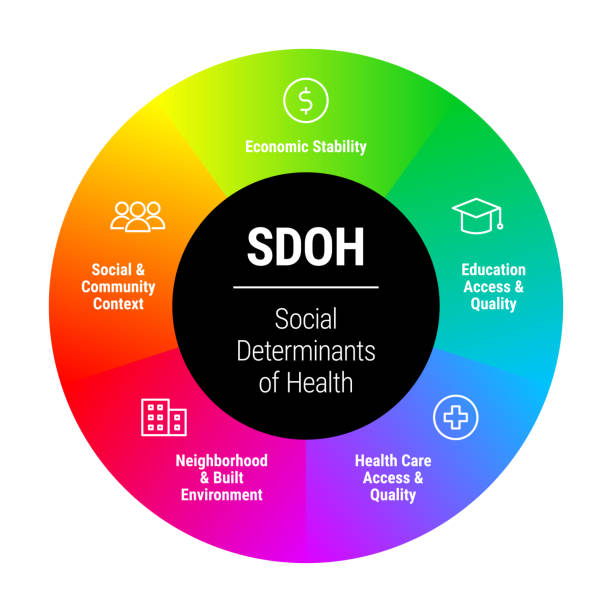 SDOH – social determinants of health – vector infographic illustration