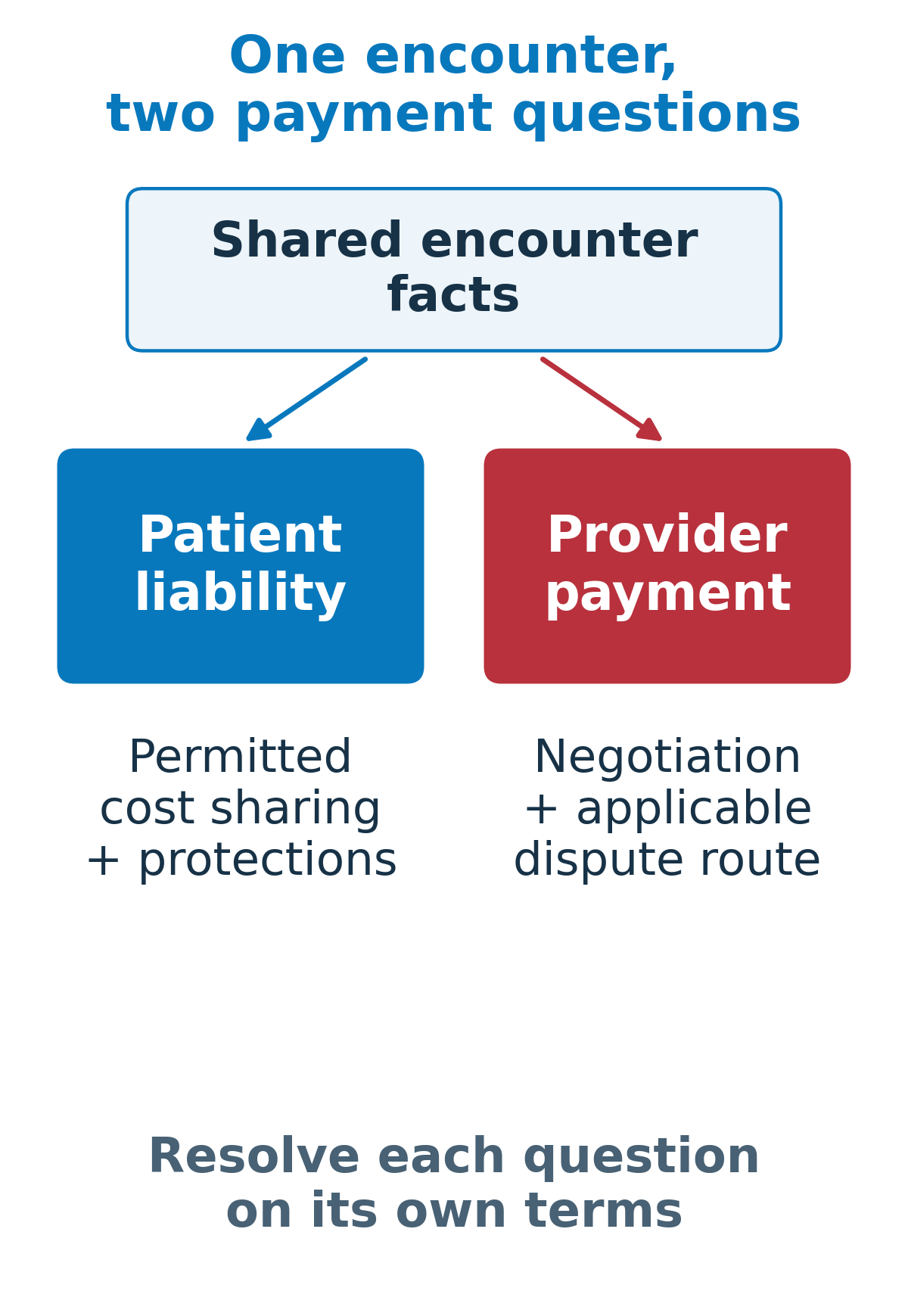 An encounter branches into patient liability and provider payment. Patient cost-sharing protections and payer-provider dispute resolution are separate decisions.